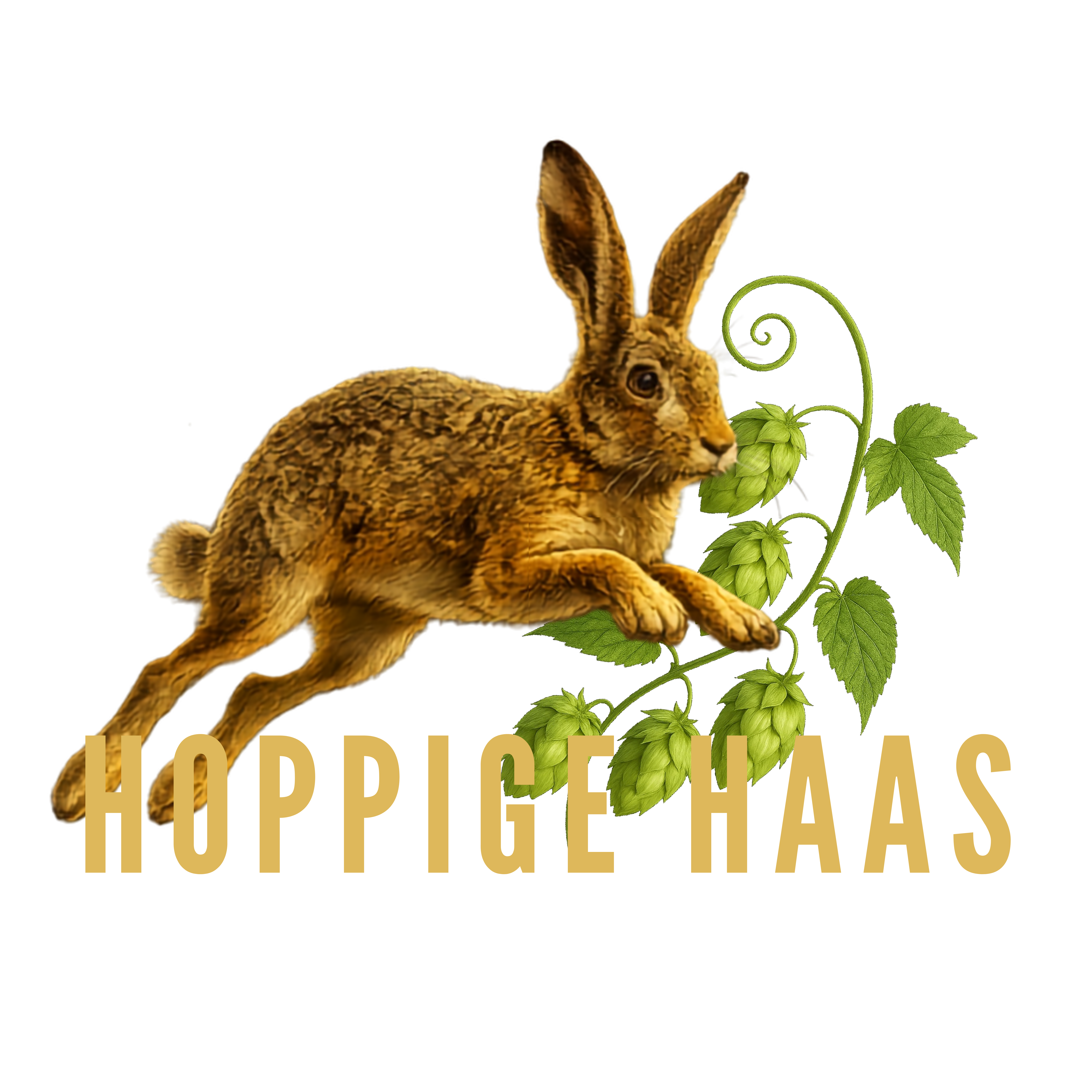 Hoppige Haas 2_20260822_110849_0001